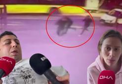 Ataşehir’de zorla götürmek istedikleri kadının kocasını silahla yaralayan 2 şüpheli tutuklandı