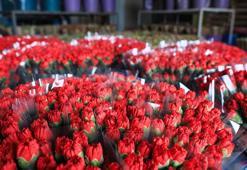 Kesme çiçek sektörünün 150 milyon dolarlık hedefi iklime takıldı
