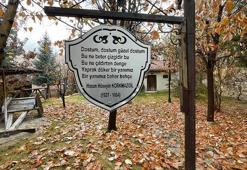 Şair Korkmazgil'in anı evi 'Yaprak döker bir yanımız' dizelerini yansıtıyor