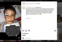 İnternette sahte hesaplarla sanal dilencilik; çocuk fotoğraflarını kullanarak para topluyorlar