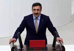 Cumhurbaşkanı Yardımcısı Yılmaz: 'Nüfus Politikaları Kurulu', kapsayıcı ve etkili politikalar üretecek