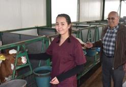 Ayşegül, dedesiyle çiftlikte hayvancılık yapıyor