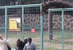Türkiye'nin en büyük hayvanat bahçesinde tüm zamanların ziyaretçi rekoru kırıldı