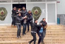 Şanlıurfa’da 15 milyon TL’lik altının gasbedilmesine ilişkin 9 gözaltı