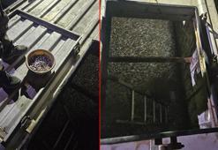 Trabzon’da yasal boy sınırı altında avlanan 11 ton hamsiye el konuldu