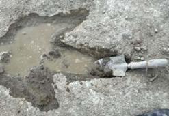 İngiltere'de 166 milyon yıllık dinozor ayak izleri keşfedildi