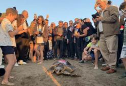 Caretta caretta 'Cumhuriyet'i 2 ayda 2 bin kişi izledi