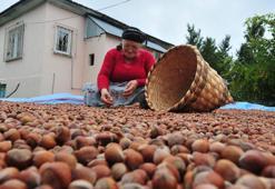 Doğu Karadeniz’de ihracatta yüzde 27 artış