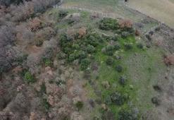 Granikos Savaşı’nın alanını ararken Hermaion Antik Kenti'nin yeri de keşfedildi