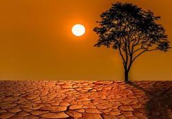 Japonya’da 2024 en sıcak yıl olarak kaydedildi