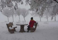 Bitlis'te ağaçlar kırağı tuttu