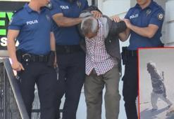 Bakırköy'de köpeğe istismar davasında karar: 1 yıl 6 ay hapis cezası