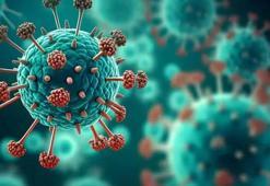 Çin'de viral solunum yolu enfeksiyonu vakaları arttı