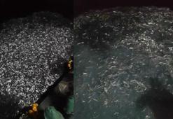 İzmirli balıkçılar, tonlarca kefal yavrusunu denize saldı