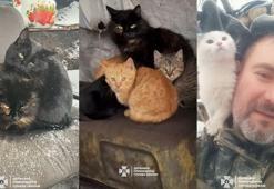 Ukrayna, sınırda askerlerle kalan kedilerin görüntülerini paylaştı