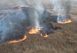 Sultan Sazlığı Milli Parkı'ndaki yangına müdahalede 2'nci gün