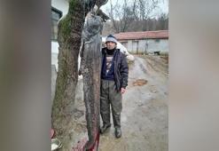 Meriç Nehri'nde 2.5 metre boyunda 'yayın balığı' yakaladı