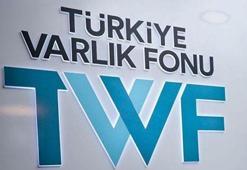TVF'nin ekonomiye kattığı değer büyüyor