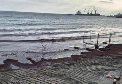 Tekirdağ'da sahili kırmızı yosun kapladı