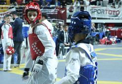 TTF Başkanı Tanrıkulu: Takım halinde Avrupa şampiyonu olduk