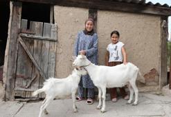 İHH: Çalışmalarımız 2024’te 1 milyondan fazla yetim çocuğa ulaştı