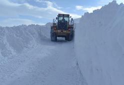 Van-İran sınırında, 3 metrelik karla mücadele