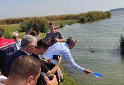 Edirne'de 2024 yılında 10 milyon sazan balığı yavrusu üretildi
