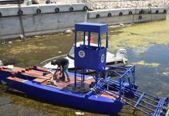 'Eğirdir Gölü'ndeki su bitkilerini ortadan kaldırmak, ormandaki ağaçları yok etmekle eş değer'