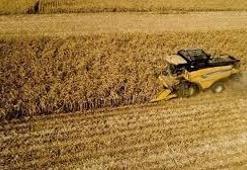 TÜİK: Tarımsal girdi fiyatları kasımda arttı