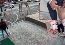 Esenyurt'ta sokakta beslenen köpekler yoldan geçenlere saldırdı