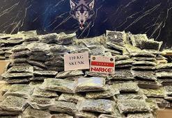 Kapıkule Sınır Kapısından yurda giriş yapan iki TIR'da 30 milyon lira değerinde uyuşturucu ele geçirildi