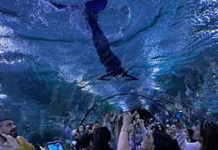 Akvaryumda 'deniz kızı' gösterisi