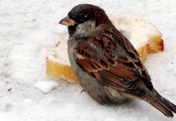 Erzurum'da soğuk hava etkili oluyor