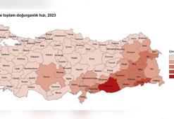 10 il, nüfusunu yenileme yeterliliğine sahip