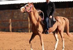 Uzak Şehir, her pazartesi 20.00’de Kanal D’de