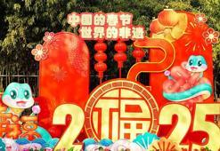 Çin’den Bahar Bayramı mesajı