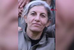 MİT, PKK/YPG'nin sözde maliye yapılanması yöneticisini etkisiz hale getirdi