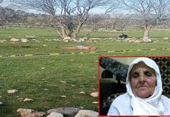 Saldırdıkları kadını öldüren köpeklerin sahibine 4 yıl 5 ay hapis