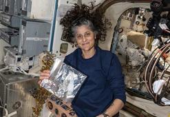 Trump, Elon Musk'tan NASA astronotlarının geri getirilmesini istedi