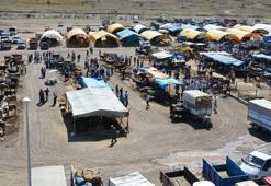 Çankırı'da şap hastalığı nedeniyle hayvan pazarları kapatıldı