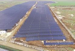 Enerjisa Enerji GES projeleriyle yılda 86 bin hanenin enerji ihtiyacını karşılıyor