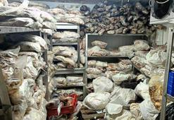 İzmir'de 3,8 ton bozuk et ve balık ele geçirildi