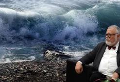 Prof. Dr. Şengör: Depremde Marmara’da 7 metre tsunami dalgası olabilir