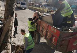 Kötü koku gelen evden 1 traktör atık malzeme çıktı; yardım eli uzandı