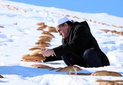 'Kaza bela defolsun' diye karla kaplı doğaya yüzlerce ekmek bıraktılar