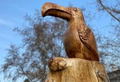 Kuruyan ağaçları sökmeden, yerinde heykele dönüştürüyor