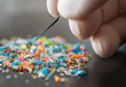Araştırma: İnsan beynindeki mikroplastik oranı hızla artıyor