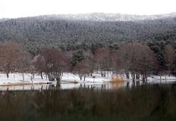Gölcük Tabiat Parkı'nda kar güzelliği