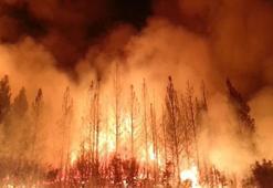 Arjantin'deki orman yangınlarından 20 bin hektarlık alan etkilendi