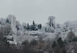 Zonguldak'ın yüksek kesimlerinde kar yağışı